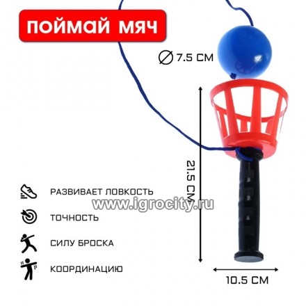 Игра "Поймай мяч", корзинка d=10.5 + мячик d=7.5 см, на шнурке, микс, арт. 4839281