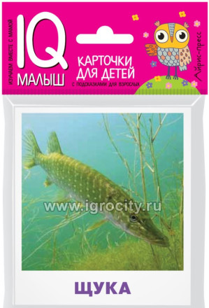 Набор карточек "Умный малыш. Пресноводные рыбы", Айрис-Пресс, арт. 26013