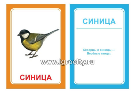 Логопедические карточки "Ц", Вундеркинд с пеленок