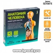 Научный опыт "Анатомия человека" Эврики, №SL-01927, арт. 3690720