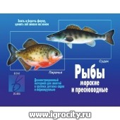Демонстрационный материал "Рыбы морские и пресноводные",  Весна-Дизайн, арт. Д-283